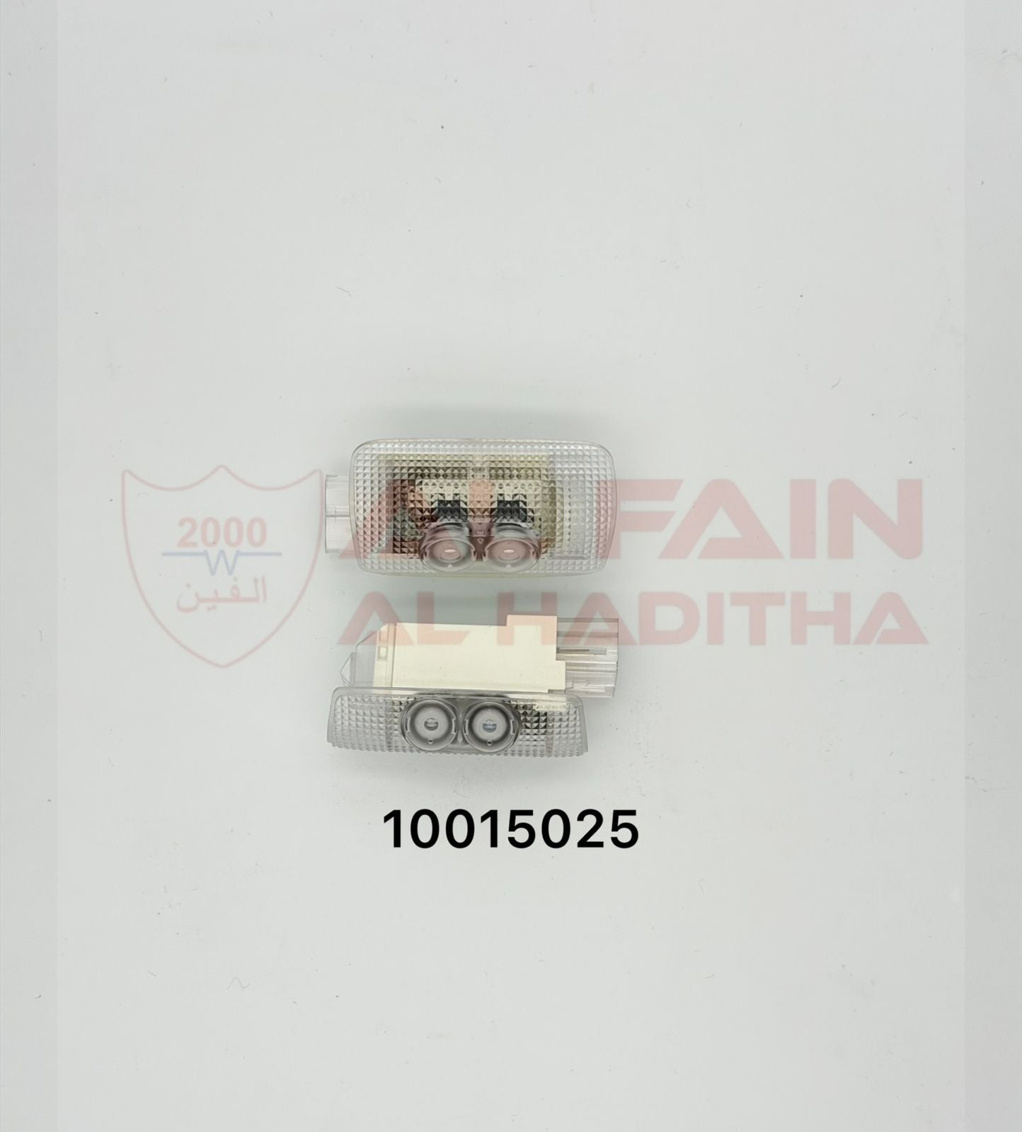Lexus Door Light Welcome 10015025