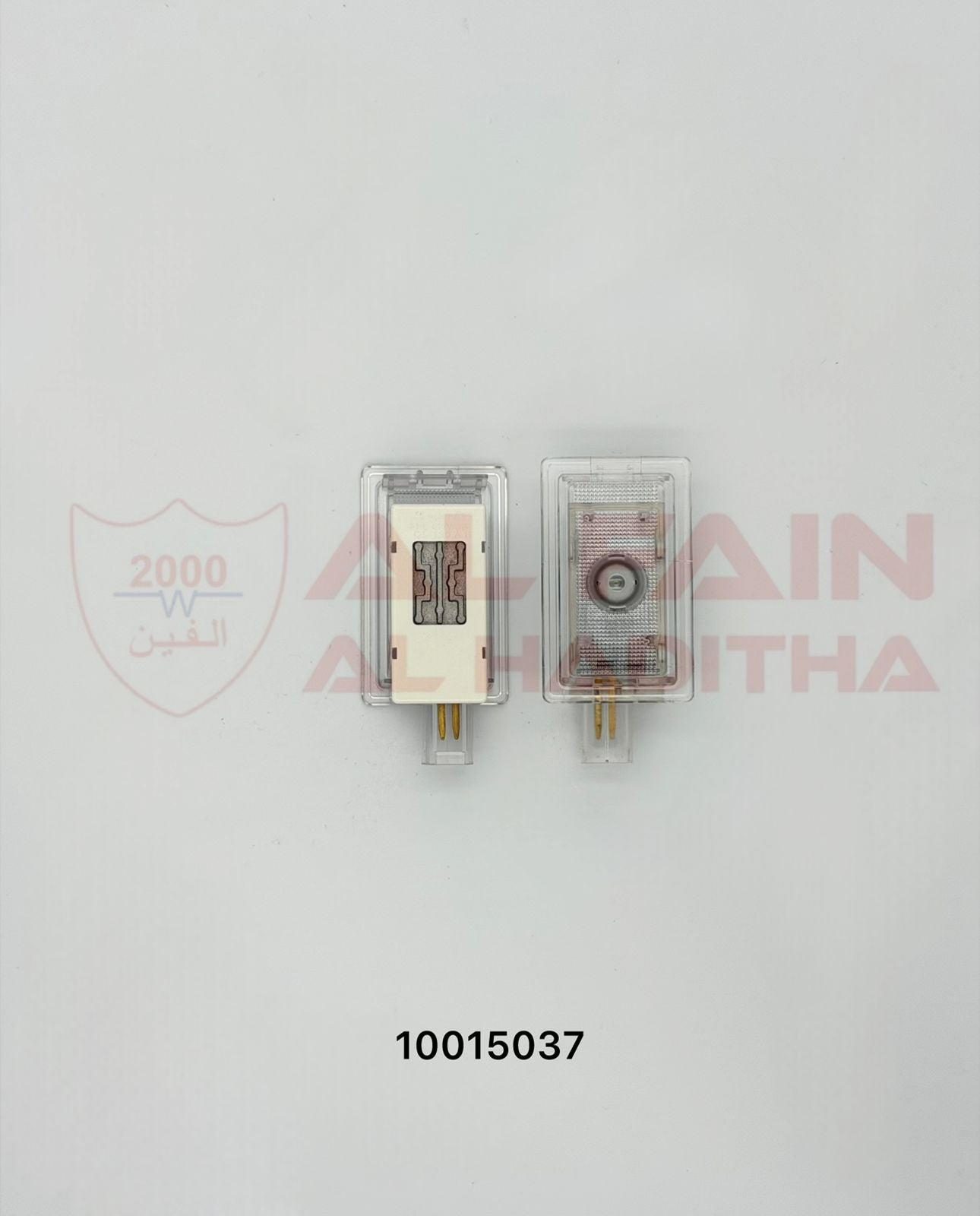 Dodge Charger R/T Door Light LED 10015037