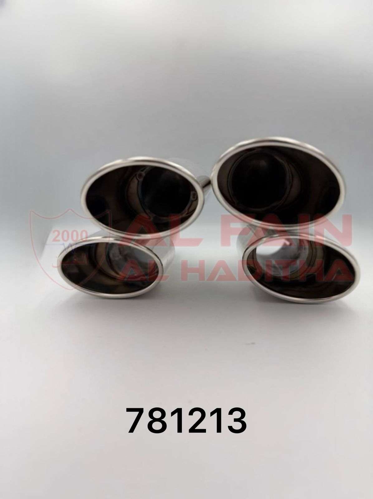 Universal Lexus IS Muffler Chrome 781213 Left + Right Dual-Outlet