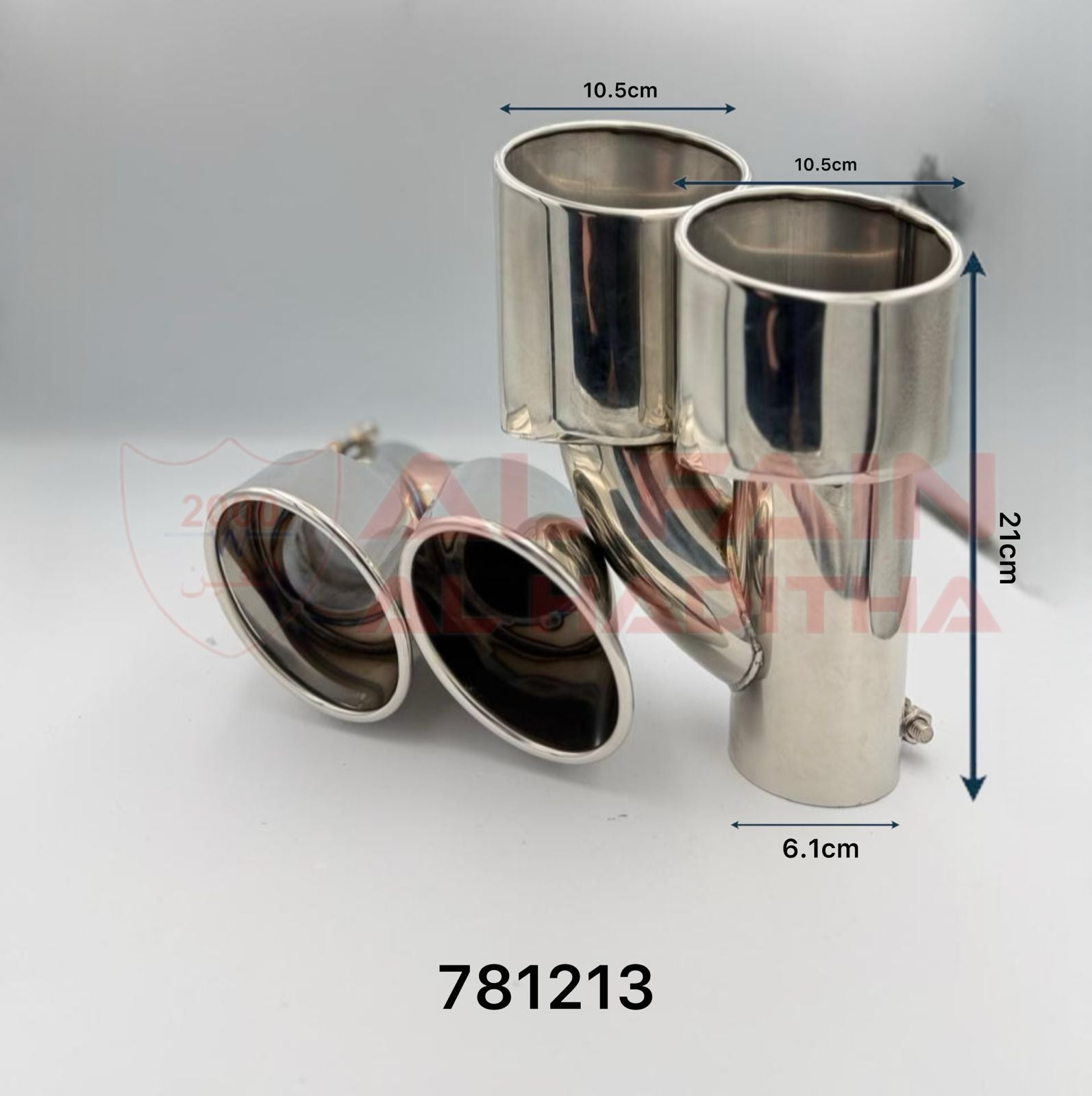 Universal Lexus IS Muffler Chrome 781213 Left + Right Dual-Outlet